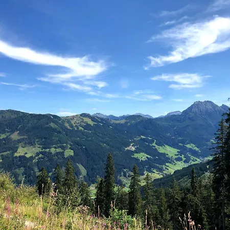 Heijerhof - 6 * Wagrain