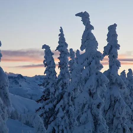 Heijerhof - 6 * Wagrain