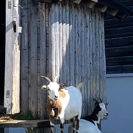 Heijerhof - 6 Appartement