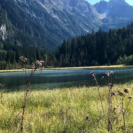 Apartamento Heijerhof - 6