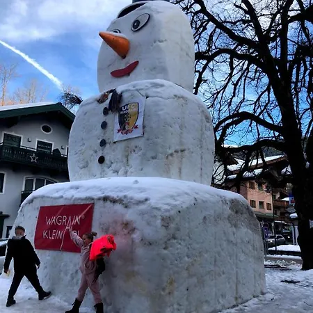Heijerhof - 6 Appartement Wagrain