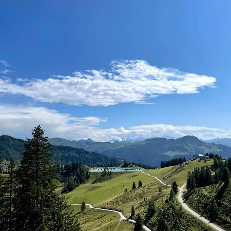 Heijerhof - 6 Apartamento Wagrain