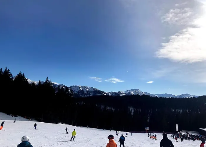 Heijerhof - 6 * Wagrain