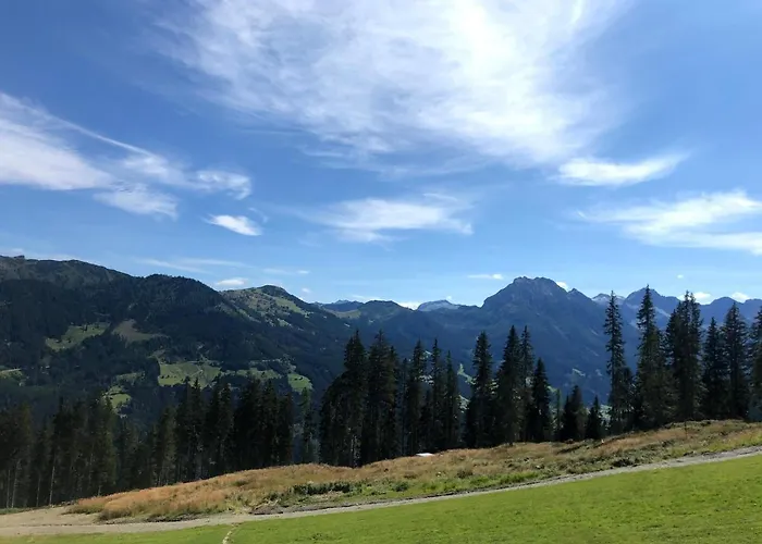 Heijerhof - 6 Apartmán Wagrain