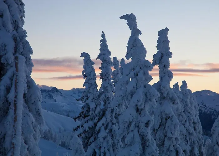 Heijerhof - 6 * واغراين