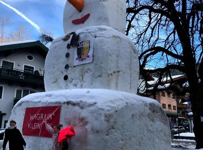 Heijerhof - 6 Apartmán Wagrain